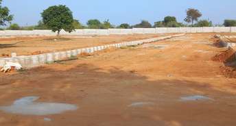  Plot For Resale in Budhera Hyderabad 6646989