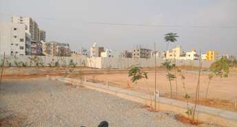  Plot For Resale in Itpl Bangalore 6648270