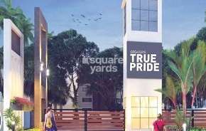  Plot For Resale in Greater True Pride Bacharam Hyderabad 6648898