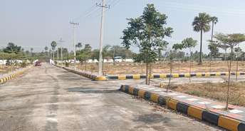  Plot For Resale in Zamistanpur Hyderabad 6649022