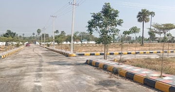 Plot For Resale in Zamistanpur Hyderabad  6649022