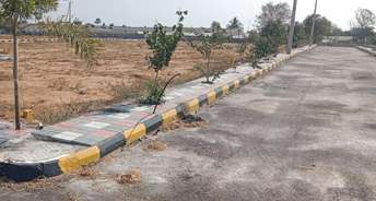  Plot For Resale in Teachers Colony Hyderabad 6649177