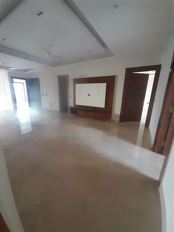 2 BHK Builder Floor For Rent in Ansal Plaza Sector 23 Sector 23 Gurgaon 6649483