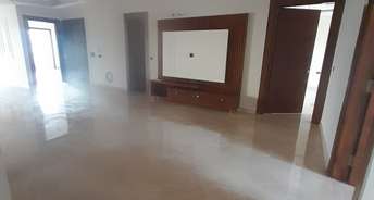 2 BHK Builder Floor For Rent in Ansal Plaza Sector 23 Sector 23 Gurgaon 6649483