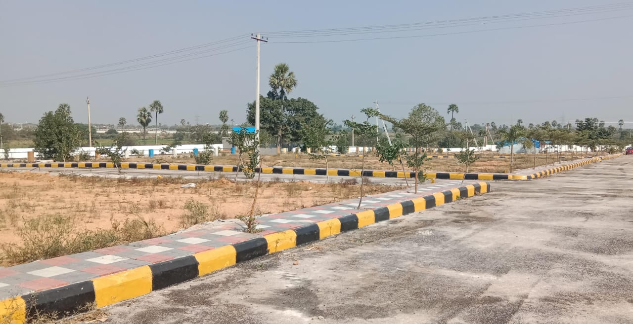 Plot For Resale in Pasumamula Hyderabad  6649798