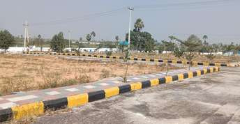 Plot For Resale in Banjara Hills Hyderabad  6649849