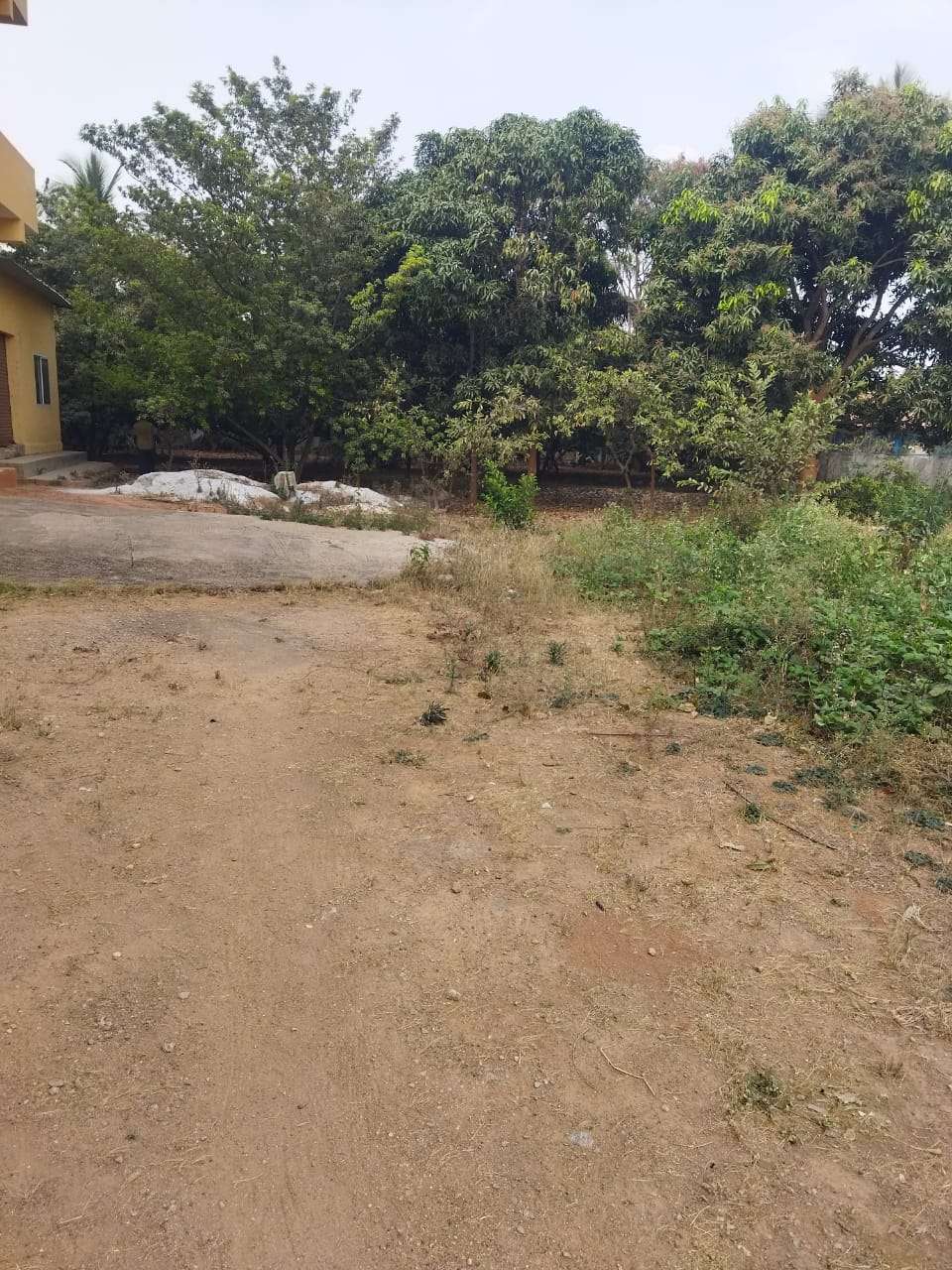  Plot For Resale in Benson Town Bangalore 6649886