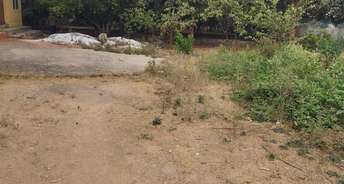  Plot For Resale in Benson Town Bangalore 6649886