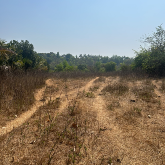 Plot For Resale in Subhash Road Ratnagiri  6650476