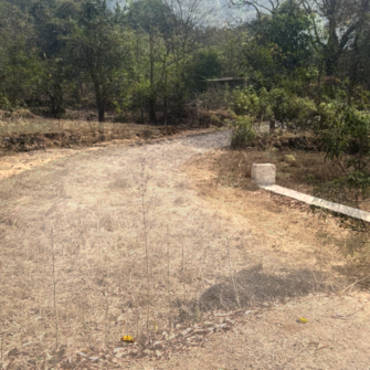 Plot For Resale in Subhash Road Ratnagiri  6650476