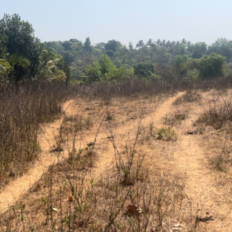 Plot For Resale in Subhash Road Ratnagiri  6650476