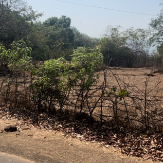 Plot For Resale in Subhash Road Ratnagiri  6650476