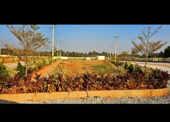 Plot For Resale in Nelamangala Bangalore  6650505