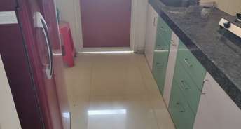 2 BHK Apartment For Rent in DB Realty Orchid Ozone Dahisar East Mumbai 6650669