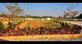  Plot For Resale in Bagepalli Bangalore 6650729