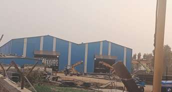 Commercial Industrial Plot 295 Sq.Ft. For Resale In Mauli Panchkula 6651588