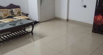 3 BHK Apartment For Rent in Godrej Oasis Sector 88a Gurgaon 6651690
