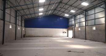 Commercial Warehouse 4800 Sq.Yd. For Rent In Kokanipada Thane 6651715