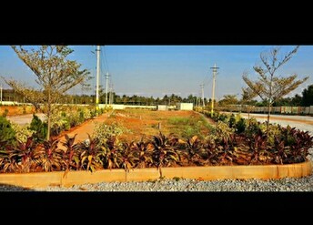 Plot For Resale in Nelamangala Bangalore  6652079