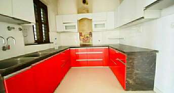 2.5 BHK Builder Floor For Rent in Ballabhgarh Sector 2 Faridabad 6652617