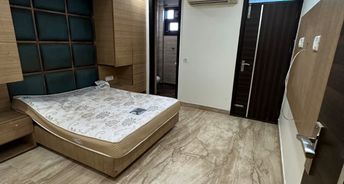 2 BHK Builder Floor For Rent in Ramesh Nagar Delhi 6653251