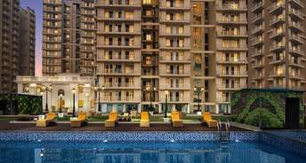 2 BHK Apartment For Resale in Mittal Rajnagar Residency Raj Nagar Extension Ghaziabad 6653707