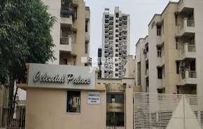 3 BHK Apartment For Resale in Celestial Palace Gn Sector pi Greater Noida 6653784