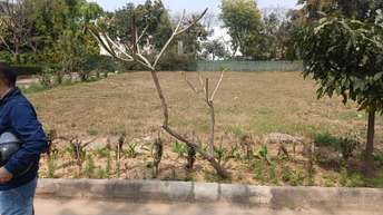 Plot For Resale in Sector 31 Gurgaon  6653781
