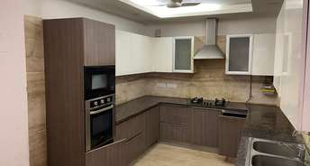 3 BHK Builder Floor For Rent in RWA Green Park Green Park Delhi 6654392