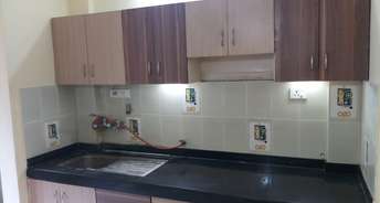 2 BHK Apartment For Rent in Clio Residences Baner Pune 6654749