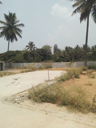 Plot For Resale in Rampura Bangalore  6654757