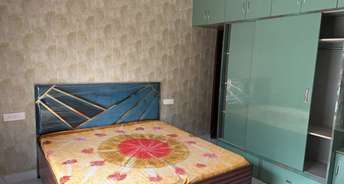 2 BHK Builder Floor For Rent in Kharar Mohali 6655313