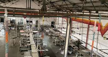 Commercial Warehouse 6500 Sq.Ft. For Rent In Peenya 2nd Stage Bangalore 6655332
