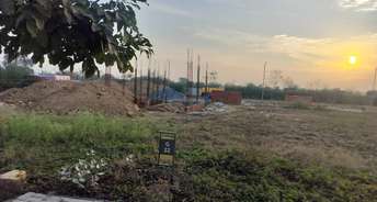  Plot For Resale in Sector 97 Faridabad 6655501