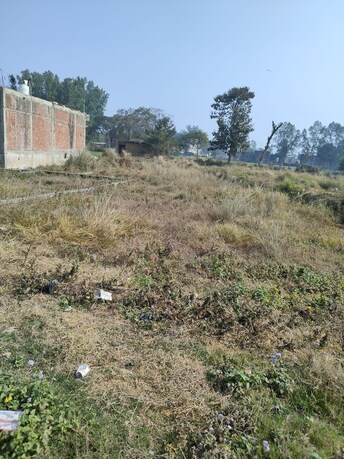 Plot For Resale in Bhatwaliya Deoria  6655638