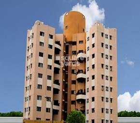 2 BHK Apartment For Rent in Magarpatta Daffodils Apartment Hadapsar Pune 6656036