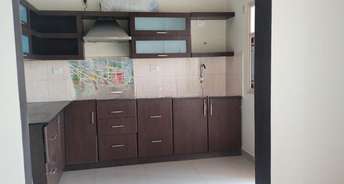 3 BHK Apartment For Rent in Oceanus Monarda Kasavanahalli Bangalore 6656483