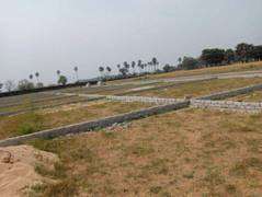 1000 Sq.Yd. Plot in Shareef Colony Patna