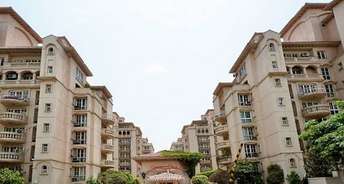 2 BHK Apartment For Rent in Unitech Heritage City Sector 25 Gurgaon 6656999
