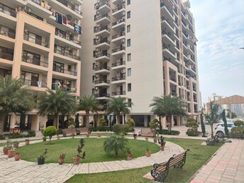 3 BHK Apartment For Resale in Chandigarh Ambala Highway Zirakpur  6657018