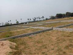 Plot For Resale in Bihta Patna  6657452