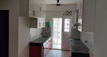 2 BHK Apartment For Rent in Ajnara Daffodil Sector 137 Noida 6657513
