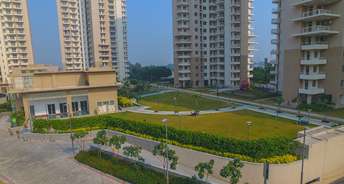 2 BHK Apartment For Rent in Alphacorp Gurgaon One 84 Sector 84 Gurgaon 6657687