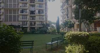 3 BHK Apartment For Rent in Ardee City The Residency Sector 52 Gurgaon 6657748