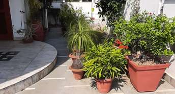 3 BHK Villa For Rent in Gomti Nagar Lucknow 6658396
