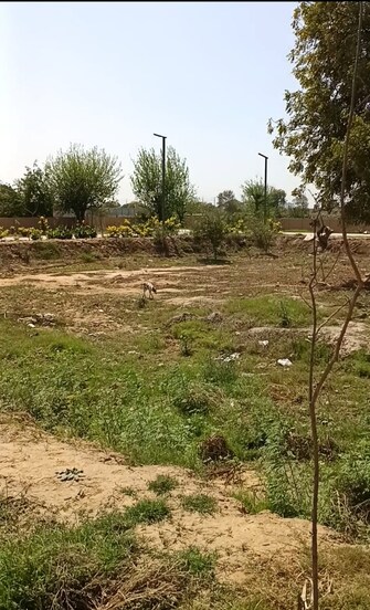 Plot For Resale in Adore Smart City Sector 97 Faridabad  6658490