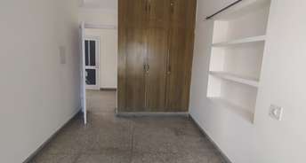 3 BHK Builder Floor For Rent in Sector 28 Chandigarh 6659387
