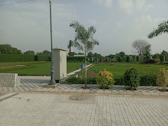 Plot For Resale in Sector 97 Faridabad  6659590