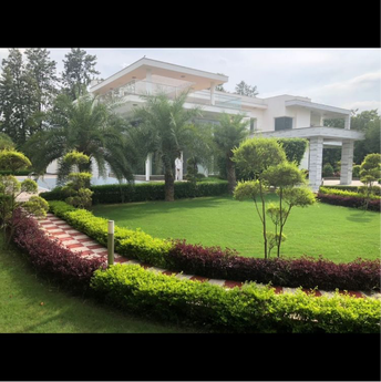 5 BHK Villa For Resale in DLF Chattarpur Farms Chattarpur Delhi 6659723