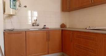 3 BHK Apartment For Rent in Sandwoods Spangle Heights Dhakoli Village Zirakpur 6660185